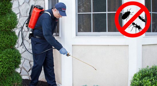 Alsancak Hamam Böceği İlaçlama böcek ilaçlama ve haşere kontrolü — ilaclama-tr.com
